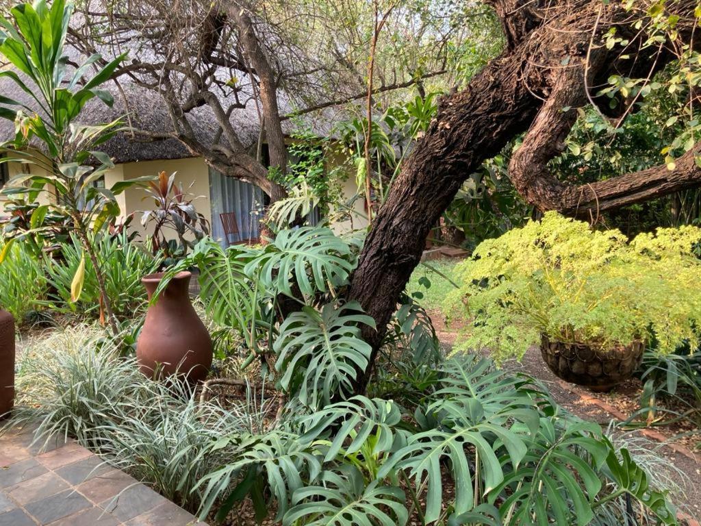 Acasia Guest Lodge Komatipoort Εξωτερικό φωτογραφία